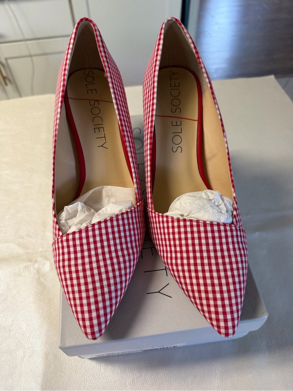 Sole Society Red Gingham Pointed Toe Pumps